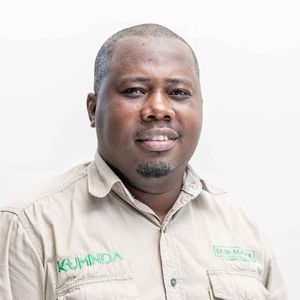Tawonga Mashingaidze